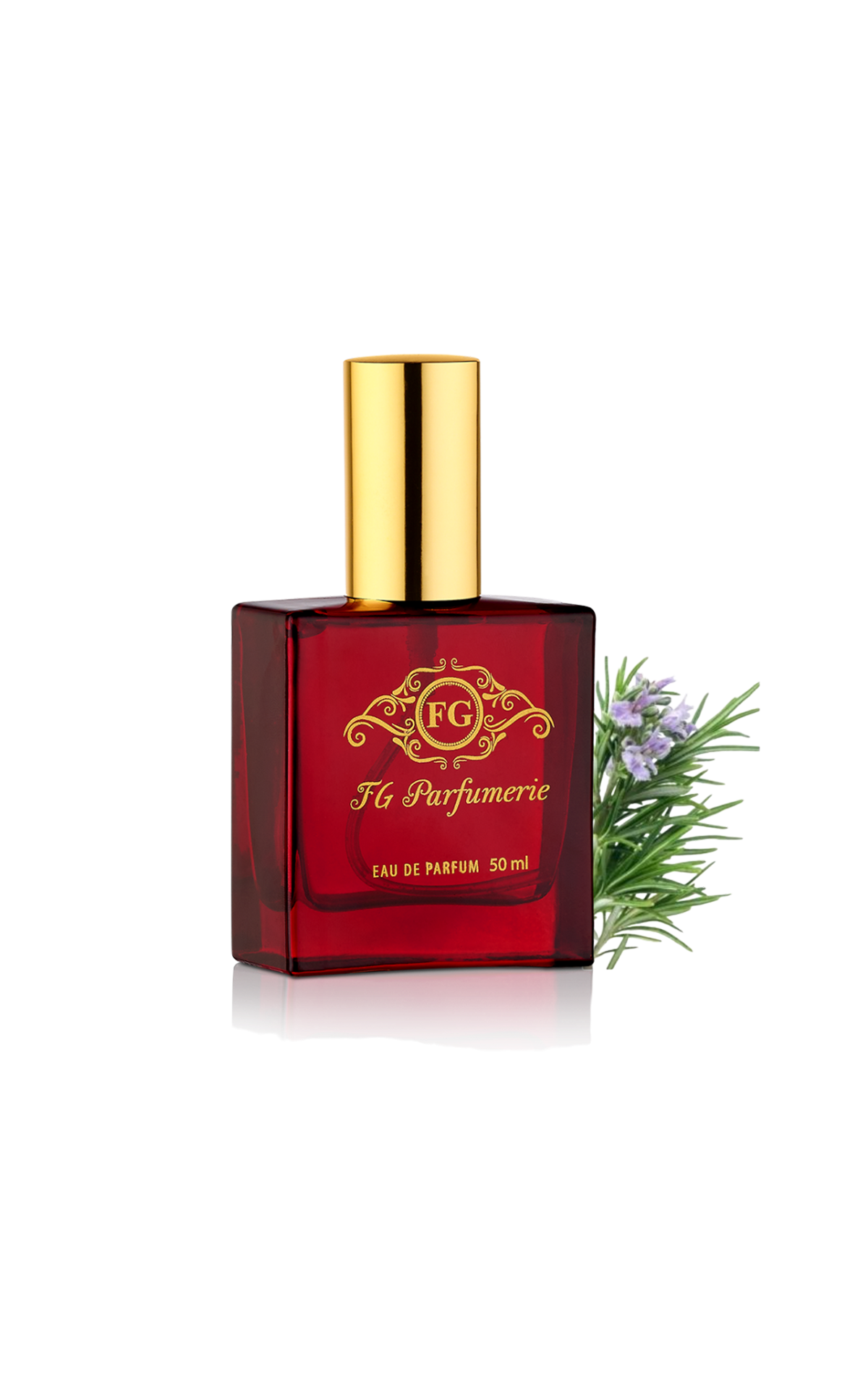 3039-LUMIERE No Limits