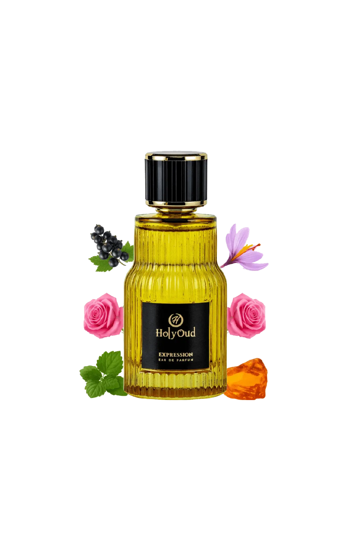 EXPRESSION-HOLY OUD UNISEX EDP 110ML